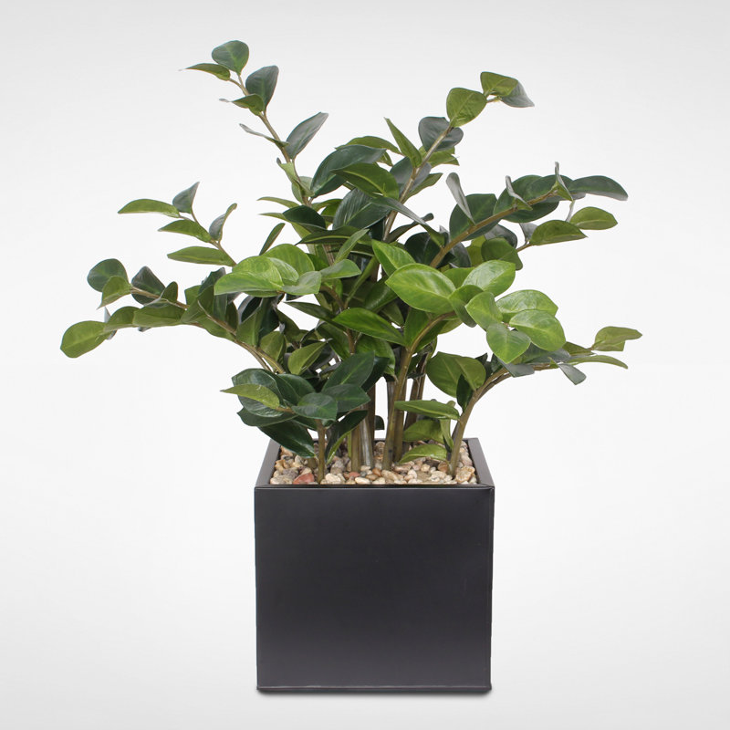 Gracie Oaks Artificial ZZ Foliage Plant in Pot Wayfair